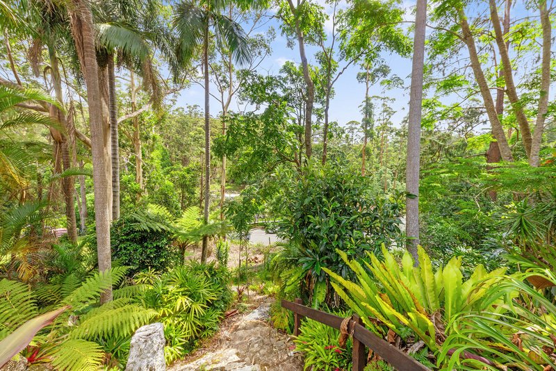 Photo - 46 Kinabalu Drive, Tamborine Mountain QLD 4272 - Image 22