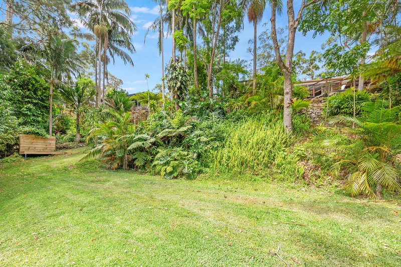 Photo - 46 Kinabalu Drive, Tamborine Mountain QLD 4272 - Image 25