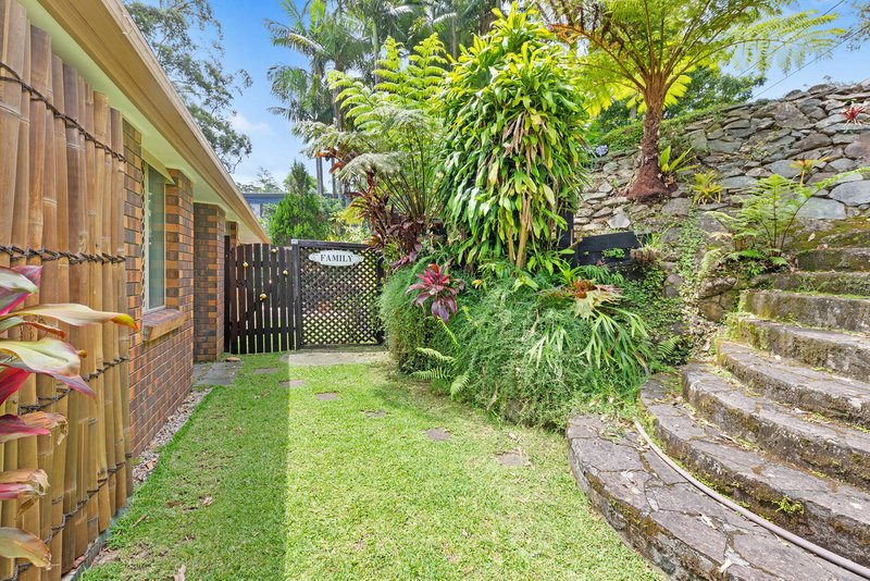 Photo - 46 Kinabalu Drive, Tamborine Mountain QLD 4272 - Image 26