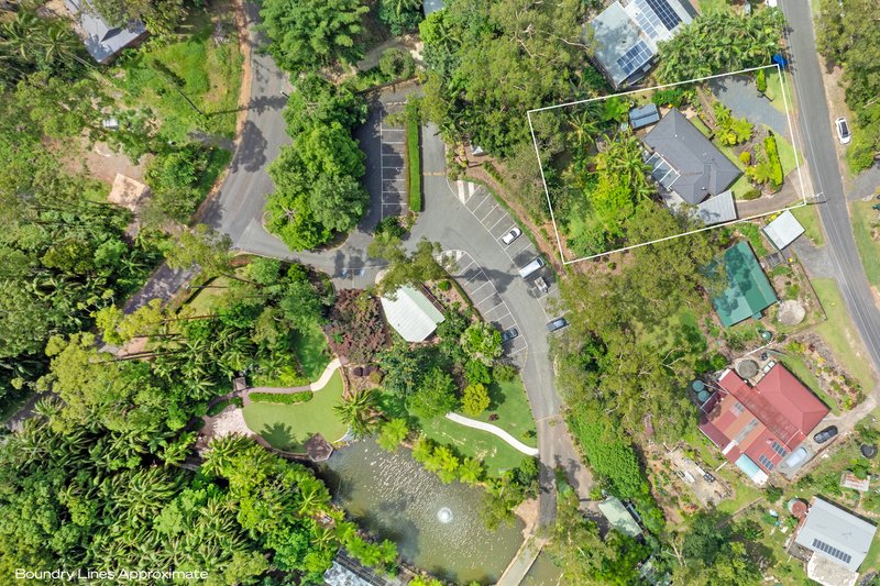 Photo - 46 Kinabalu Drive, Tamborine Mountain QLD 4272 - Image 32