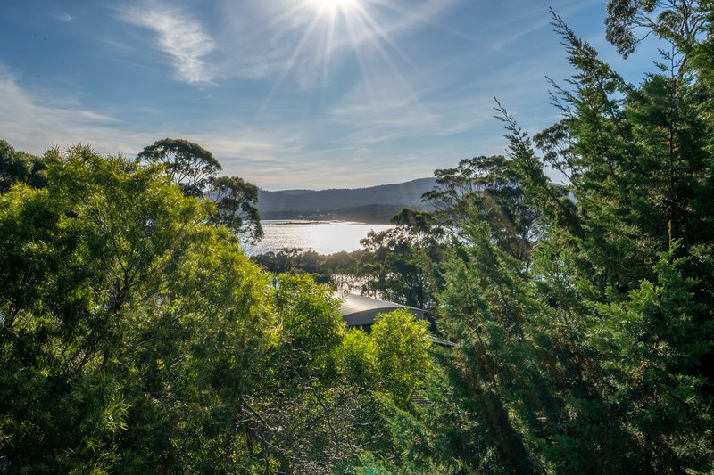 Photo - 46 Lagoon Road, White Beach TAS 7184 - Image 5