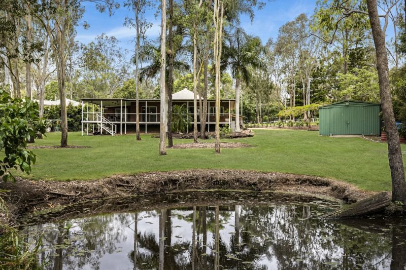 Photo - 46 Lather Road, Bellbowrie QLD 4070 - Image 8