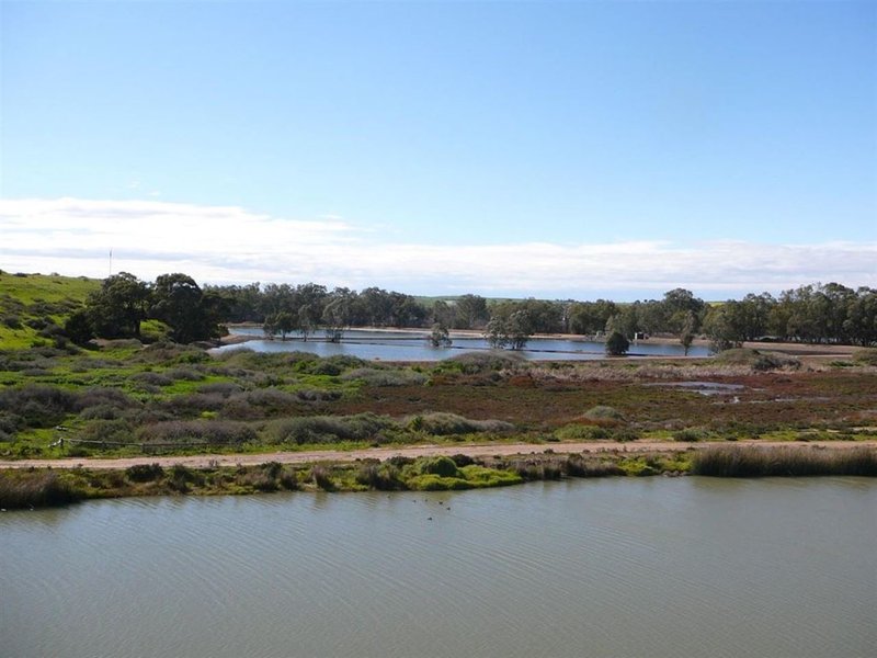 Photo - 46 Marina Way, Mannum SA 5238 - Image 7