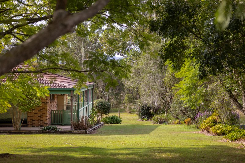 Photo - 46 Mooral Creek Road, Cedar Party NSW 2429 - Image 1