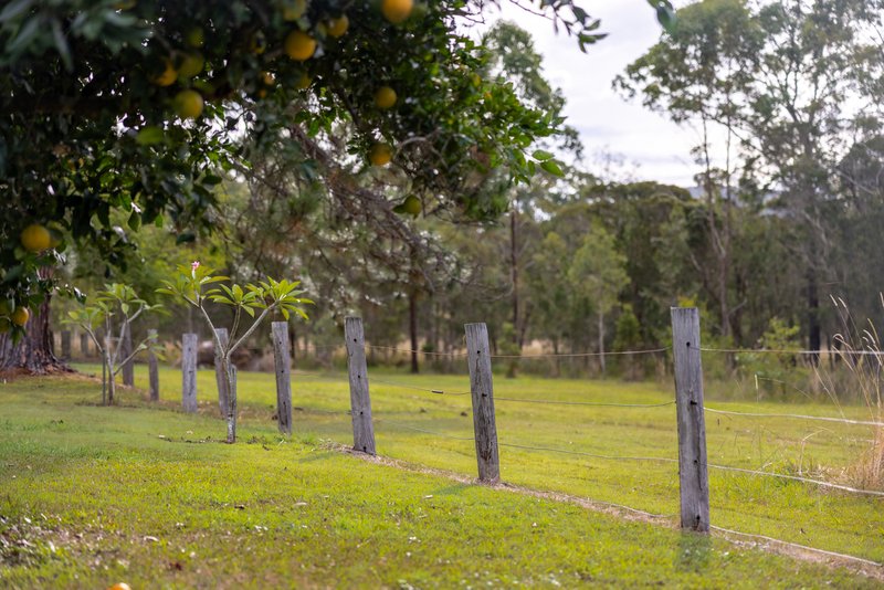 Photo - 46 Mooral Creek Road, Cedar Party NSW 2429 - Image 4