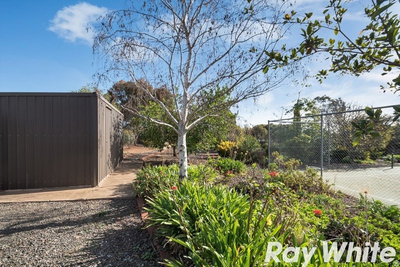 Photo - 46 Phillips Avenue, Gawler East SA 5118 - Image 16