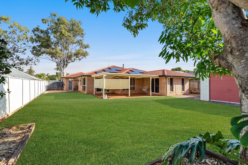 Photo - 46 Plumer Street, Wellington Point QLD 4160 - Image 13