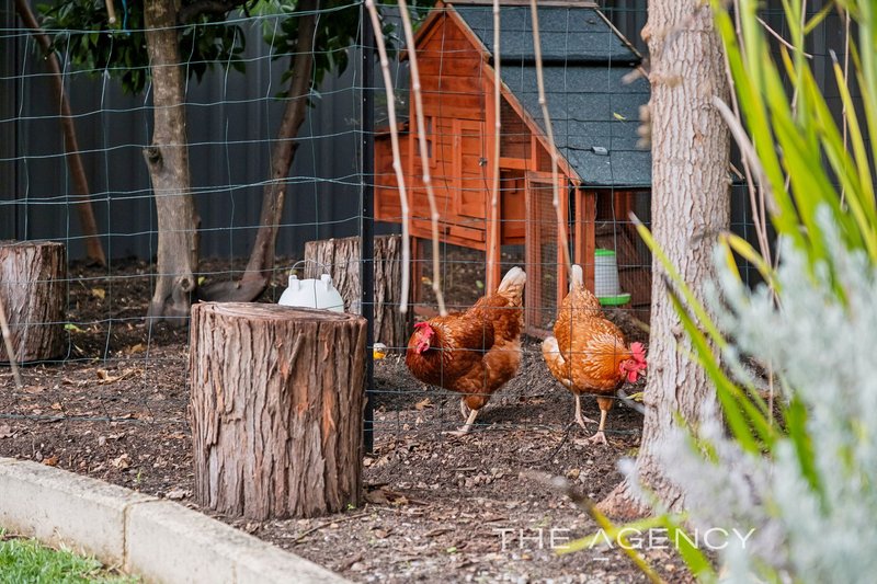 Photo - 46 Reid Street, Bassendean WA 6054 - Image 4