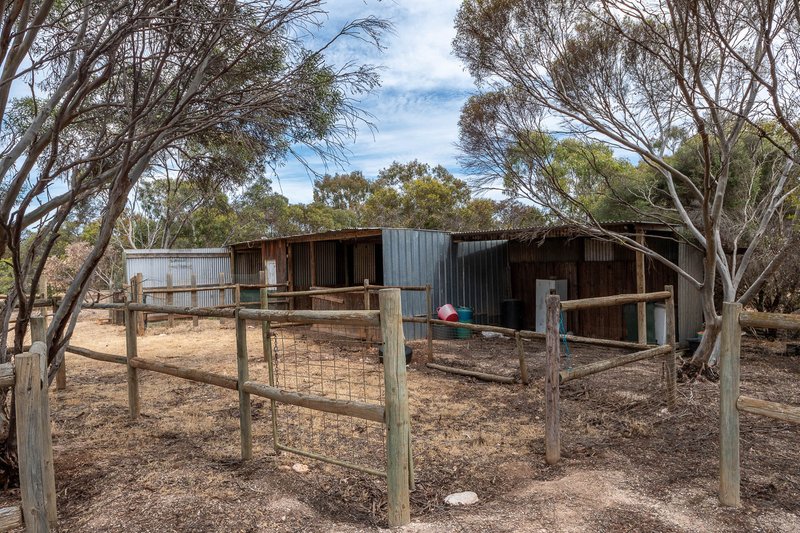 Photo - 46 Rodwell Road, Woodchester SA 5255 - Image 16