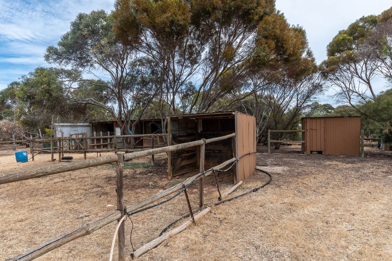 Photo - 46 Rodwell Road, Woodchester SA 5255 - Image 17