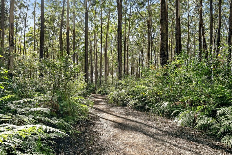 Photo - 46 Steiner Crescent, Baringa QLD 4551 - Image 10