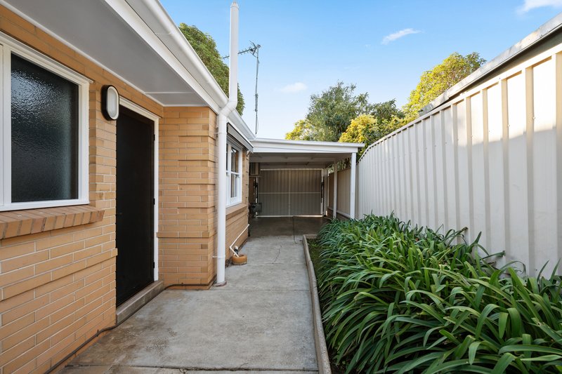 Photo - 46 Torrens Street, Linden Park SA 5065 - Image 21