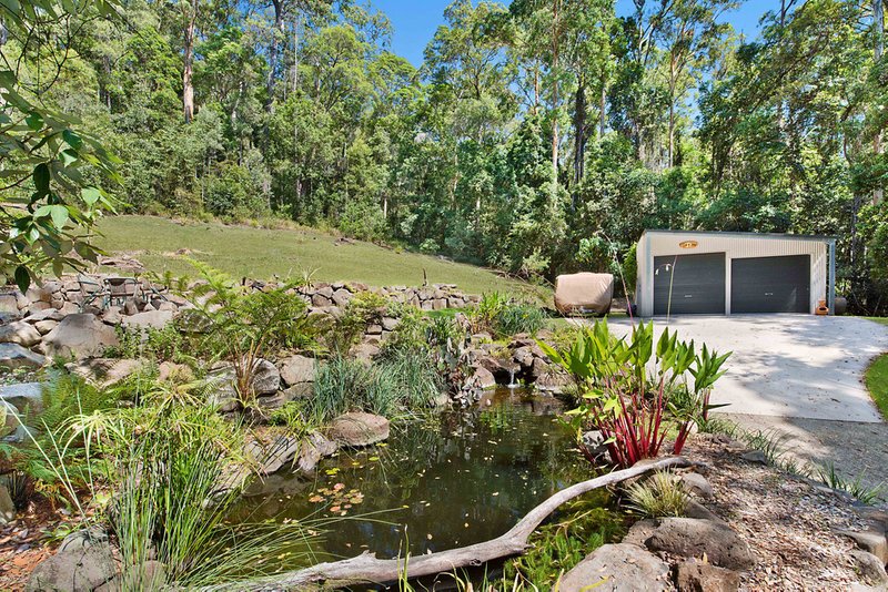 Photo - 46 Toulambi Drive, Buderim QLD 4556 - Image 3