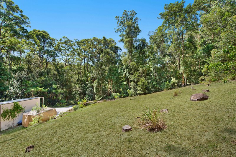 Photo - 46 Toulambi Drive, Buderim QLD 4556 - Image 7