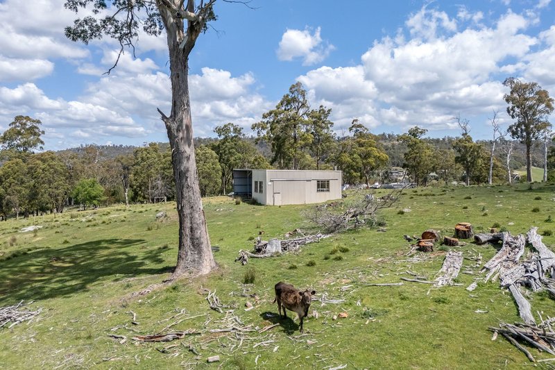 Photo - 46 Traill Road, Exeter TAS 7275 - Image 21