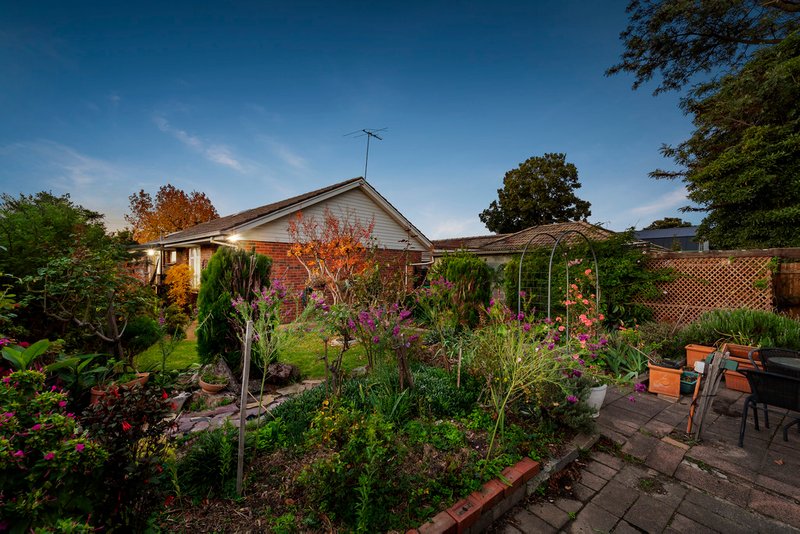 Photo - 46 Victor Crescent, Forest Hill VIC 3131 - Image 10