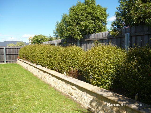 Photo - 46 Victoria Street, Youngtown TAS 7249 - Image 11