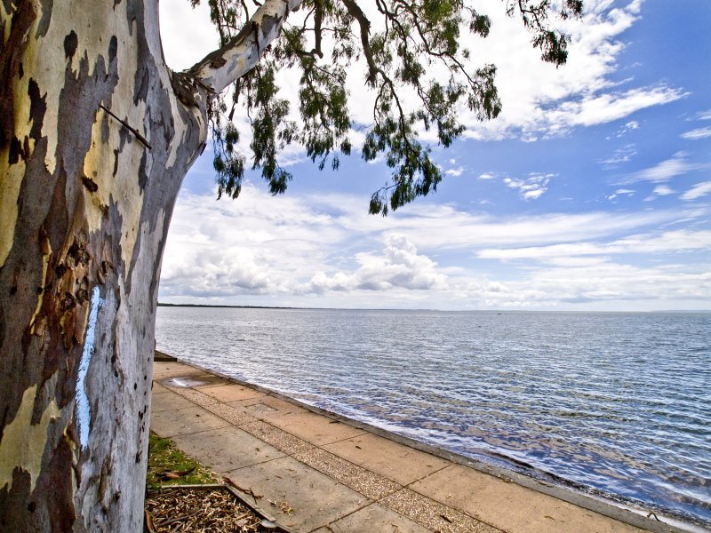 Photo - 46 Wagtail Drive, Deception Bay QLD 4508 - Image 7