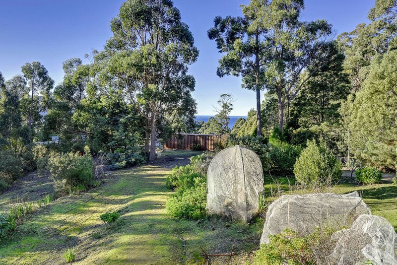 Photo - 46 Waterfall Bay Road, Eaglehawk Neck TAS 7179 - Image 21