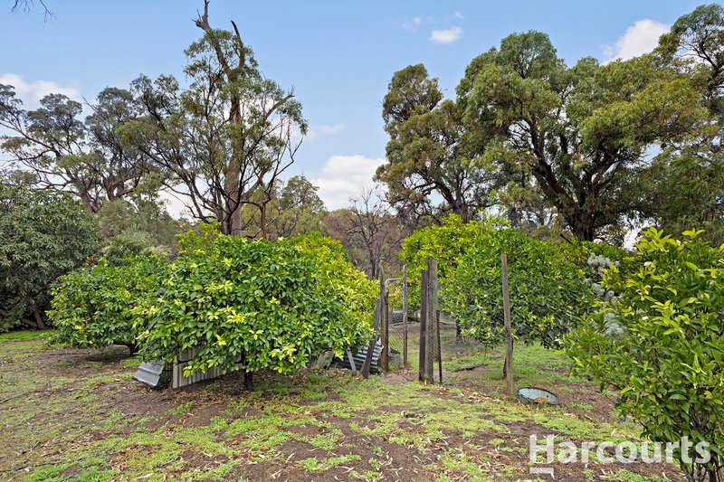 Photo - 46 Willy Wagtail Close, Lake Clifton WA 6215 - Image 10
