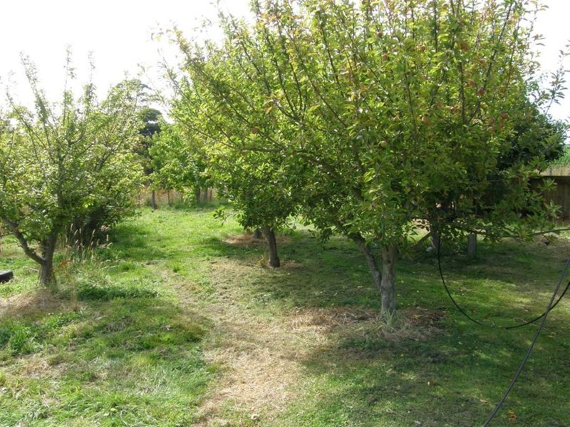 46 Winnaleah Road, Winnaleah TAS 7265 Real Estate Industry Partners