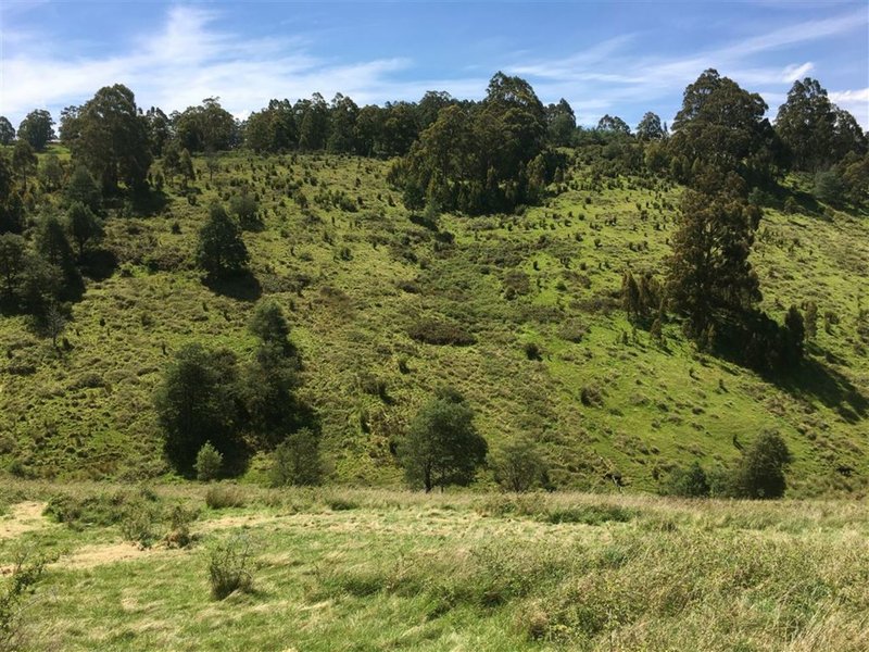 460 Forsters Rivulet Road, Lymington TAS 7109 Real Estate Industry