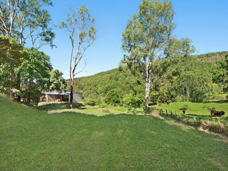 Photo - 462 Hunchy Road, Hunchy QLD 4555 - Image 17