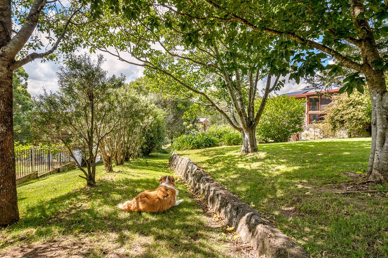 Photo - 464 Comleroy Road, Kurrajong NSW 2758 - Image 14