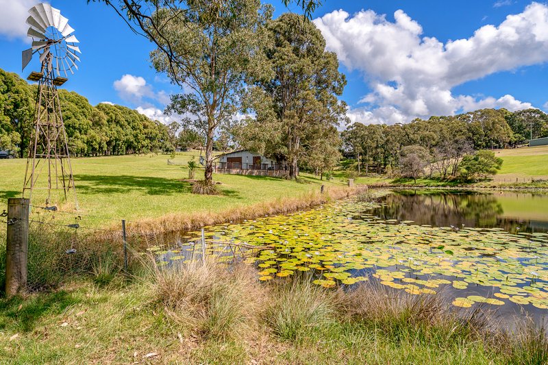 Photo - 464 Comleroy Road, Kurrajong NSW 2758 - Image 17