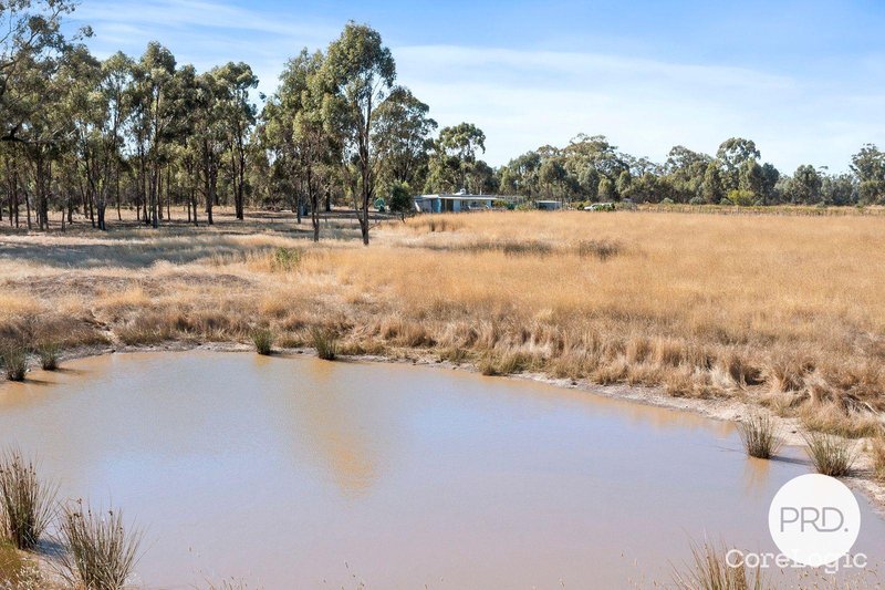 Photo - 464 Goulburn Weir-Murchison Road, Goulburn Weir VIC 3608 - Image 13