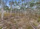 Photo - 465 Mulwaree Drive, Tallong NSW 2579 - Image 4