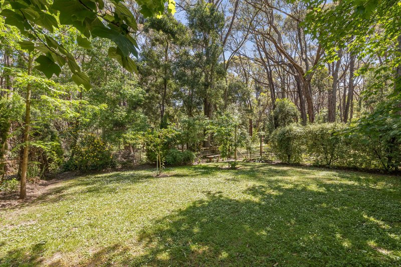 Photo - 467 Black Forest Drive, Macedon VIC 3440 - Image 16