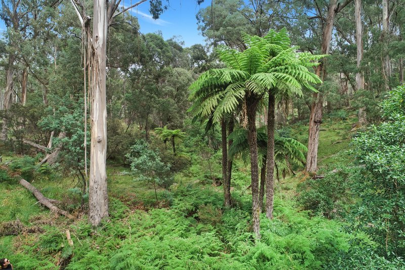 Photo - 467 Police Track, Lima East VIC 3673 - Image 4