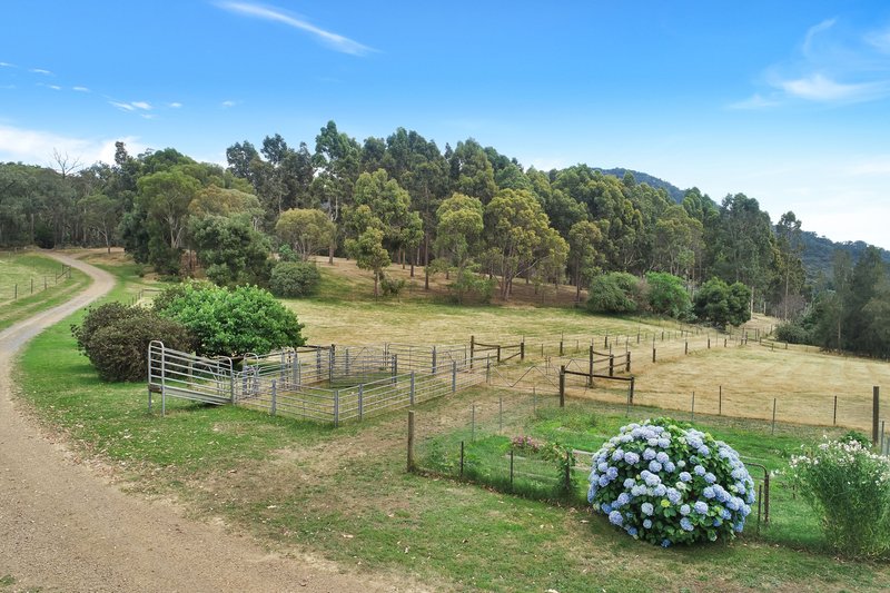 Photo - 467 Police Track, Lima East VIC 3673 - Image 20