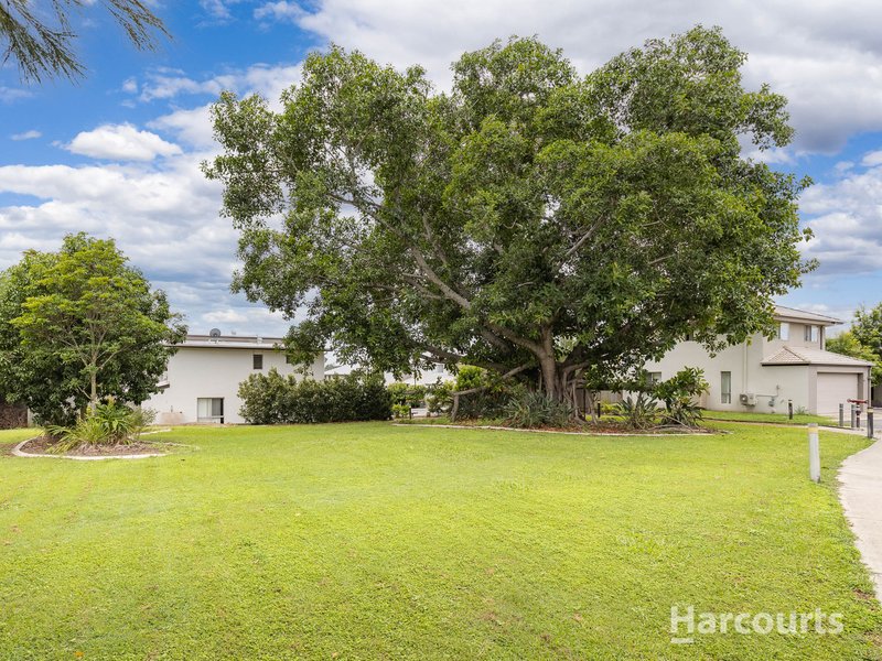 Photo - 46/88 Shelduck Place, Calamvale QLD 4116 - Image 10