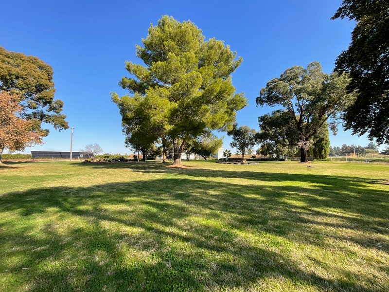 Photo - 469 Brobenah Road, Leeton NSW 2705 - Image 4