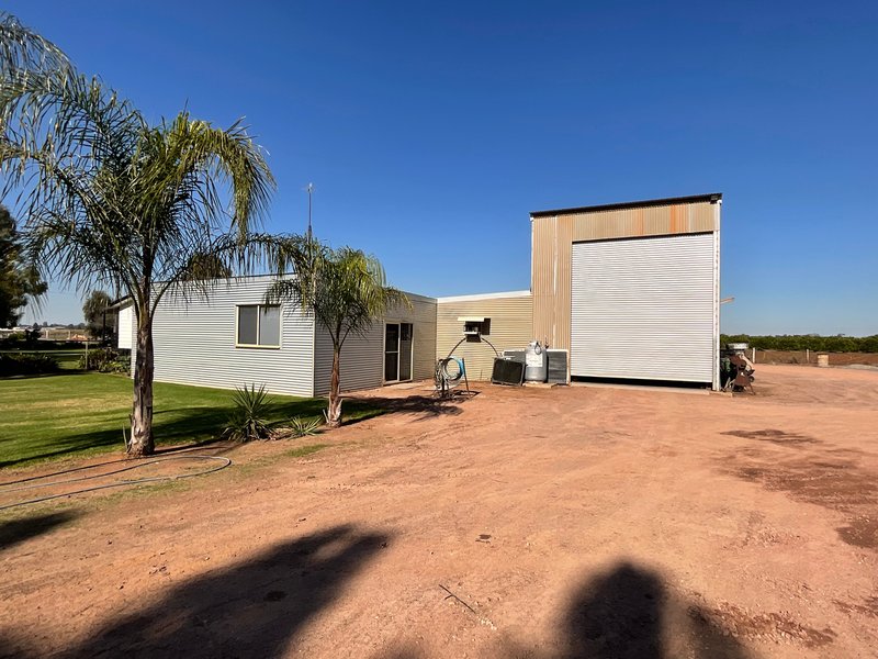 Photo - 469 Brobenah Road, Leeton NSW 2705 - Image 22