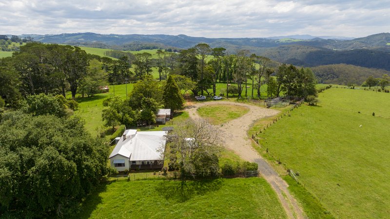 Photo - 4690 Waterfall Way, Fernbrook , Dorrigo NSW 2453 - Image 4