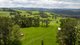 Photo - 4690 Waterfall Way, Fernbrook , Dorrigo NSW 2453 - Image 8