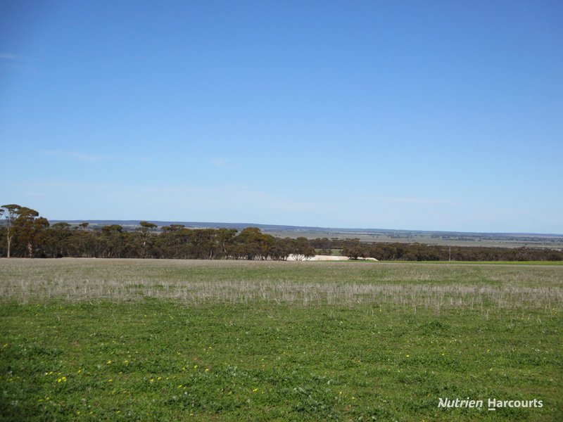 Photo - 4691 Kulin-Holt Rock Road, Pingaring WA 6357 - Image 6