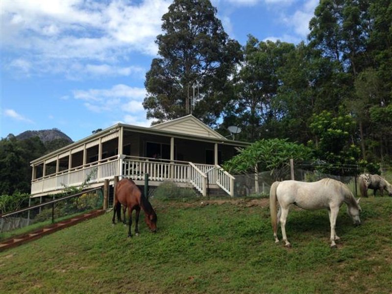 Photo - 46A Ferguson Road, Pomona QLD 4568 - Image 16