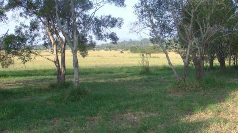 Photo - 47 - 55 Thomas Rd , Bli Bli QLD 4560 - Image 3