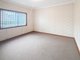 Photo - 47 Alfred Street, Long Jetty NSW 2261 - Image 10