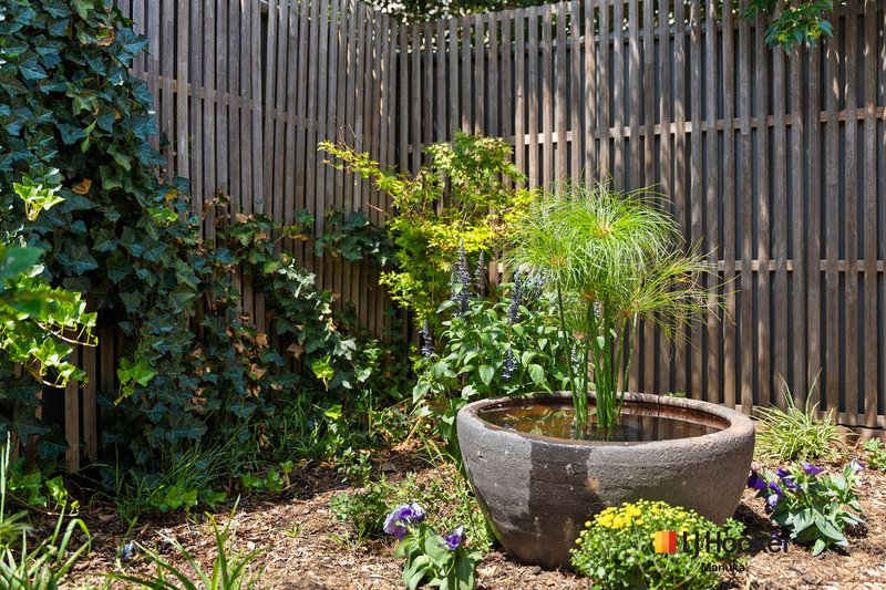 Photo - 4/7 Allwood Street, Chifley ACT 2606 - Image 19