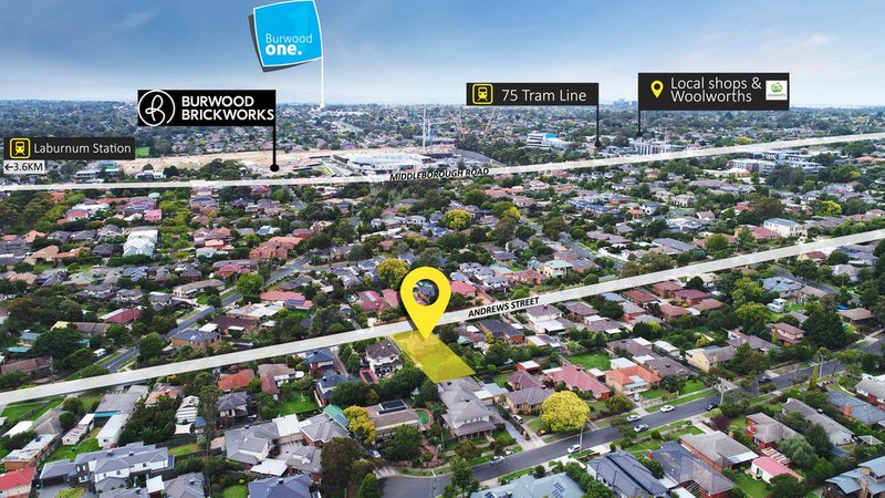 Photo - 47 Andrews Street, Burwood VIC 3125 - Image 9