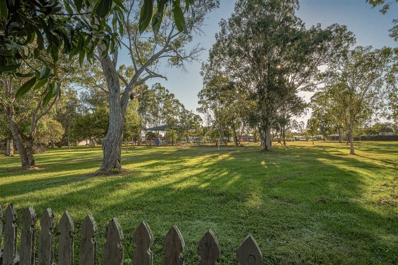Photo - 47 Arnica Crescent, Bald Hills QLD 4036 - Image 18
