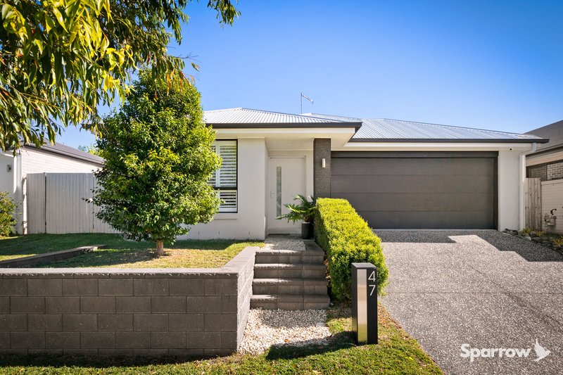 Photo - 47 Bandicoot Drive, Bahrs Scrub QLD 4207 - Image 2