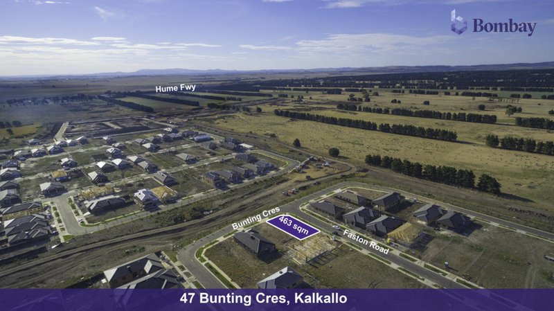 Photo - 47 Bunting Crescent, Kalkallo VIC 3064 - Image 3