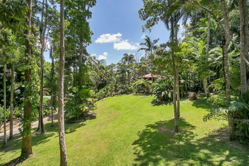 Photo - 47 Butler Drive, Kuranda QLD 4881 - Image 4