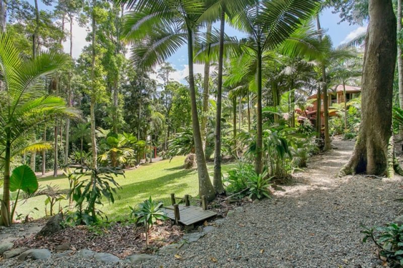 Photo - 47 Butler Drive, Kuranda QLD 4881 - Image 8